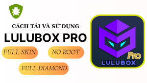 download lulubox pro mới nhất miễn phí skin